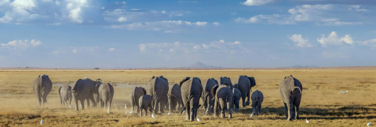 2 Days Amboseli National Park1